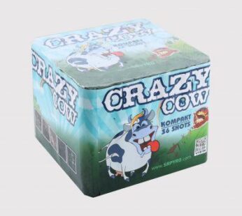 Crazy Cow – Vuurwerkkopen