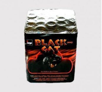 BLACK CAT JW42 – Vuurwerkkopen